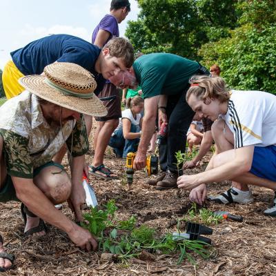 Students and faculty working in rain garden